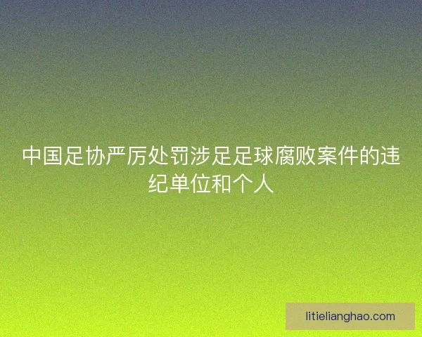 中国足协严厉处罚涉足足球腐败案件的违纪单位和个人