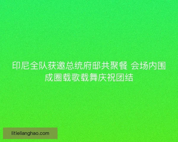 印尼全队获邀总统府邸共聚餐 会场内围成圈载歌载舞庆祝团结
