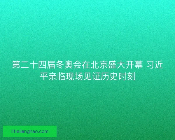 第二十四届冬奥会在北京盛大开幕 习近平亲临现场见证历史时刻