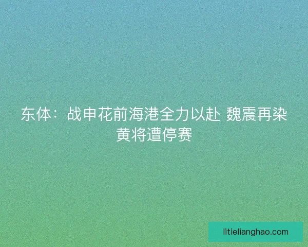 东体：战申花前海港全力以赴 魏震再染黄将遭停赛
